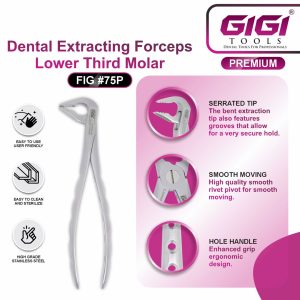 Dental Extracting Forceps Fig. #75P (Lower Premolar / Lower Third Molar) - Image 5
