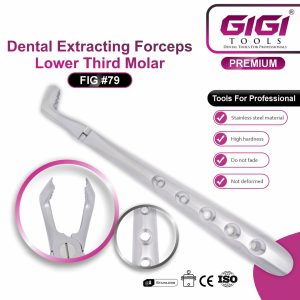 Dental Extracting Forceps Fig. #79 (Lower Third Molar) - Image 3