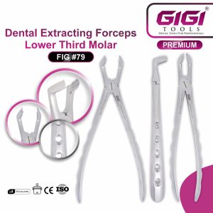 Dental Extracting Forceps Fig. #79 (Lower Third Molar) - Image 4