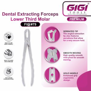 Dental Extracting Forceps Fig. #79 (Lower Third Molar) - Image 5