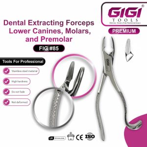 Dental Extracting Forceps Fig. 85 for Lower Canines, Premolars, and Molars - Image 3