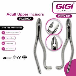 Dental Extracting Forceps Fig. 99A Kells for Adult Upper Incisors - Image 3