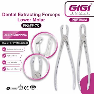 Dental Extracting Forceps Lower Molar (#F-7C) - Image 3