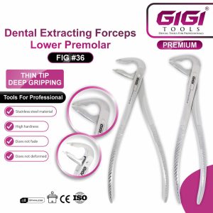 Dental Extracting Forceps Lower Premolar (Fig #36 & Fig #36A) - Image 3