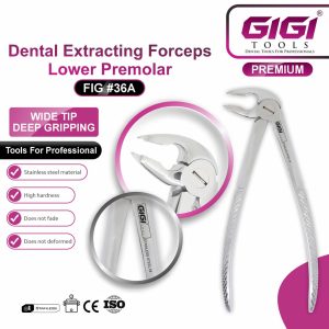 Dental Extracting Forceps Lower Premolar (Fig #36 & Fig #36A) - Image 4