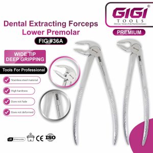 Dental Extracting Forceps Lower Premolar (Fig #36 & Fig #36A) - Image 5