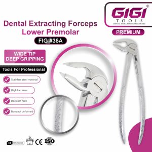 Dental Extracting Forceps Lower Premolar (Fig #36 & Fig #36A) - Image 6