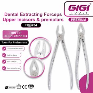 Dental Extracting Forceps Upper Incisors & Premolars (Fig #34) - Image 3