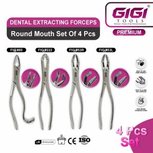 Dental Extracting Forceps Professional Surgical Sets - Image 3