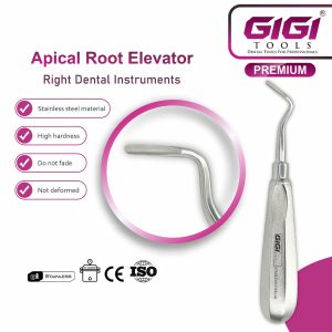 Dental Root Elevator Apical 2-Piece Set - Image 3