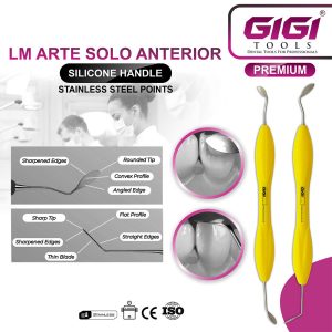 LM Arte Solo Anterior - Image 4