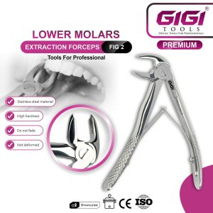 Kids Dental Extracting Forceps Set (Pedodontic Architecture) - Image 3