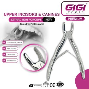 Kids Dental Extracting Forceps Set (Pedodontic Architecture) - Image 5